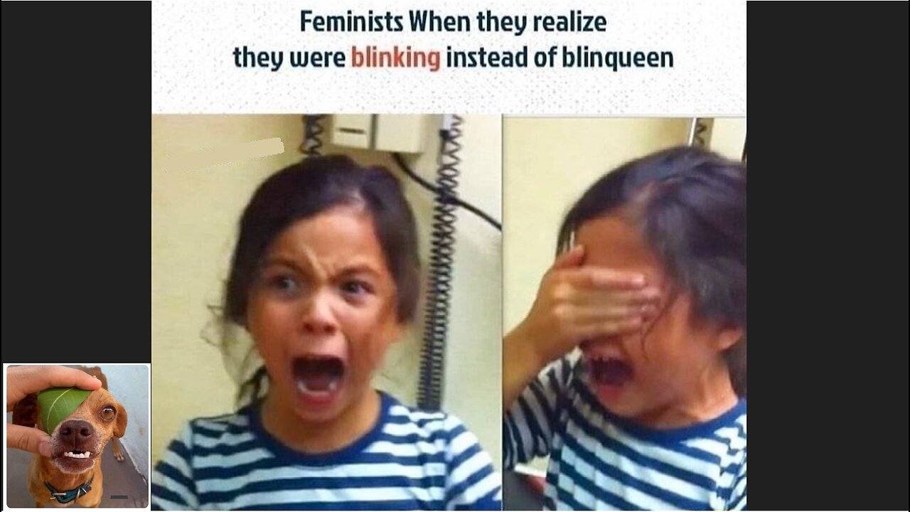 Memes That Will 99.0189% Make You Laugh. (e413)