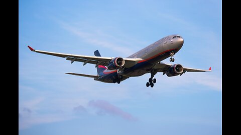 Summer evening by the fence at Sheremetyevo