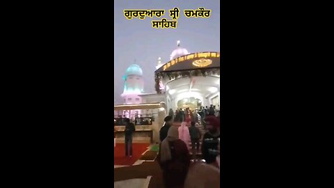 satisfying Video