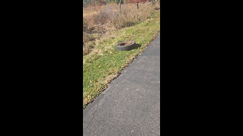 Discarded Tire at the Trail Head