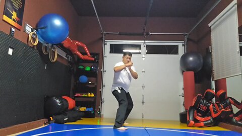 WTD 2 Step Kick Combination 159