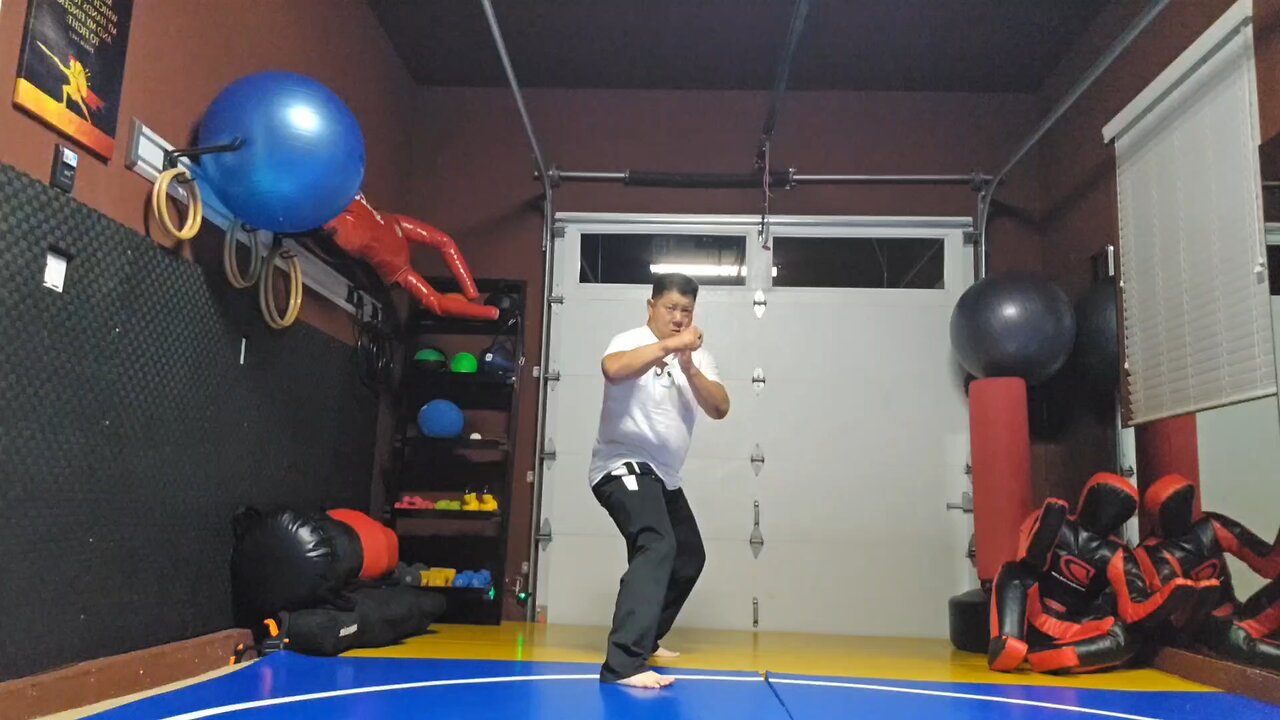 WTD 2 Step Kick Combination 159
