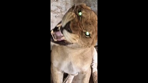 #funny #foryou #fyp #viralvideo #trending #lol #comedy