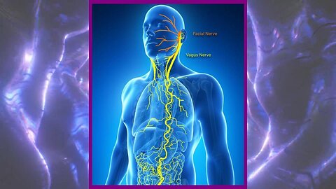 Stimulate Your Vagus Nerve