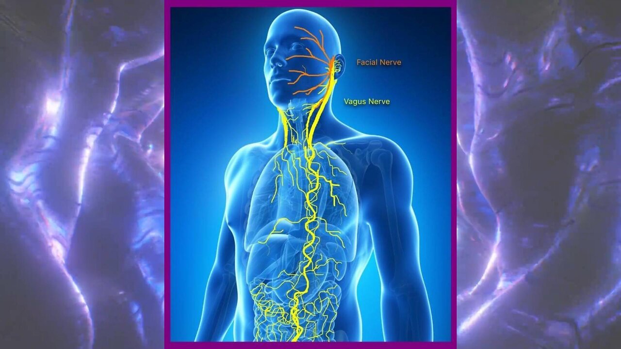 Stimulate Your Vagus Nerve