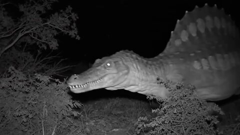 💥MYTHOLOGO CREATURES ARE STILL ALIVE 🌎💥