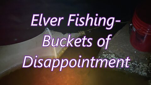 Elver Fishing- Buckets Of Disappointment