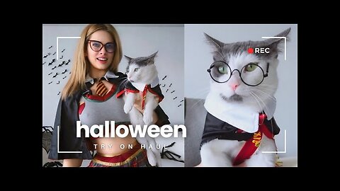 Halloween Try On Haul with My Cat, Jack! 
