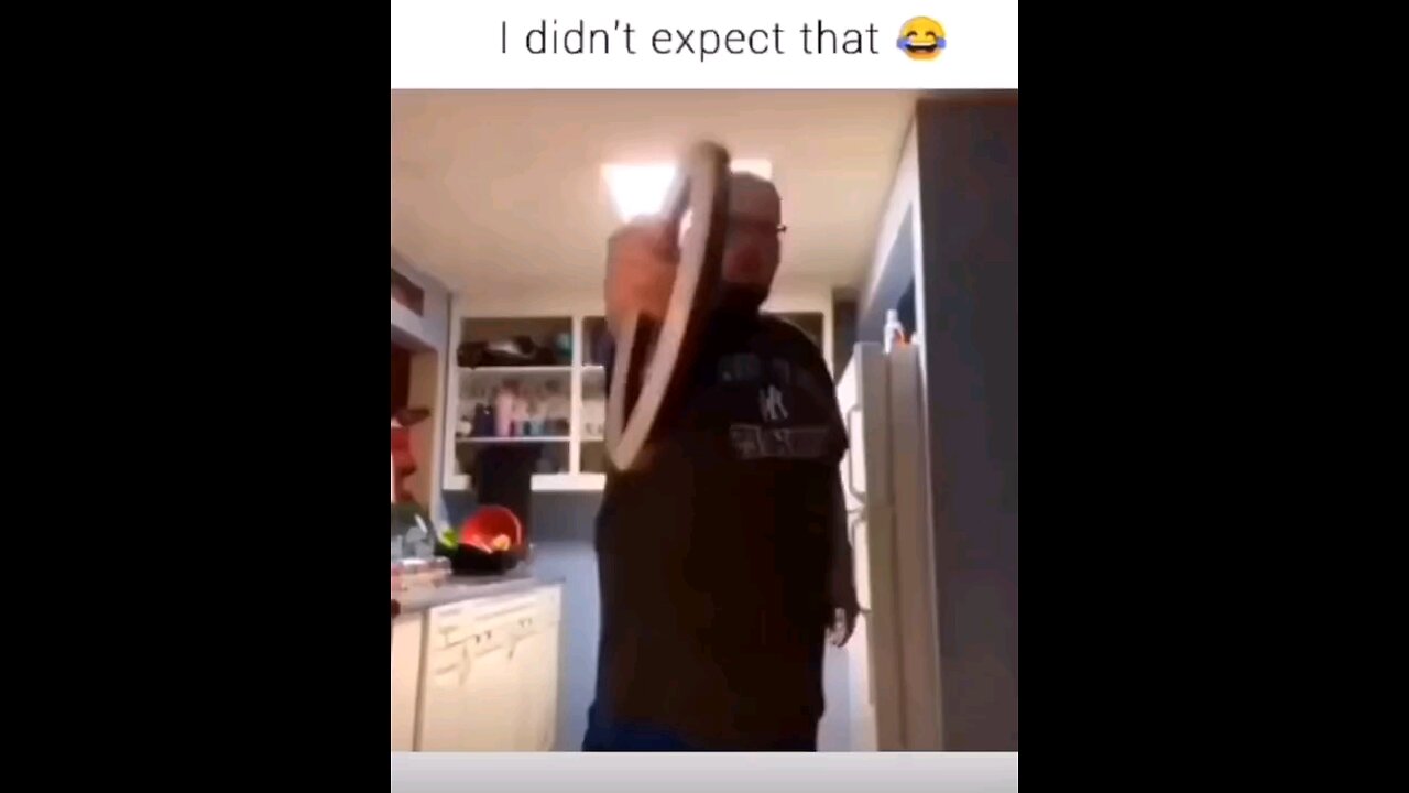 Wasnt expecting that either fyp randomfunnyvideos funny
