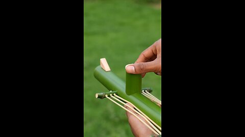 Bamboo shoots
