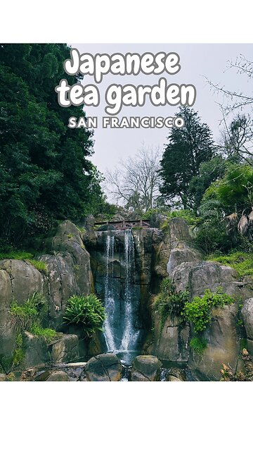 Exploring San Francisco's Breathtaking Japanese Tea Garden!