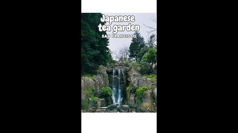 Exploring San Francisco's Breathtaking Japanese Tea Garden!