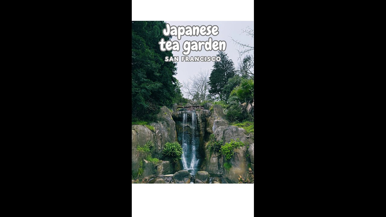 Exploring San Francisco's Breathtaking Japanese Tea Garden!