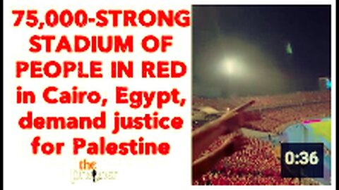 "Cairo's 75,000-Strong Red-Wearing Crowd Demands Justice for Palestine"
