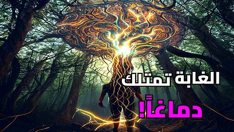 هل تعلم أن الغابة تملك إنترنت خاصاً بها؟ سر الويب الخشبي المذهل