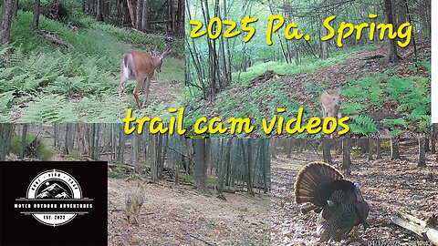 2024 Pa. spring trail camera videos