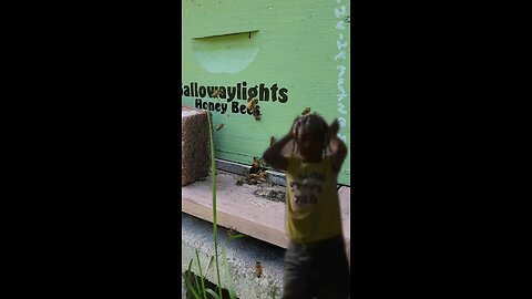 beekeeping makes me want to dance