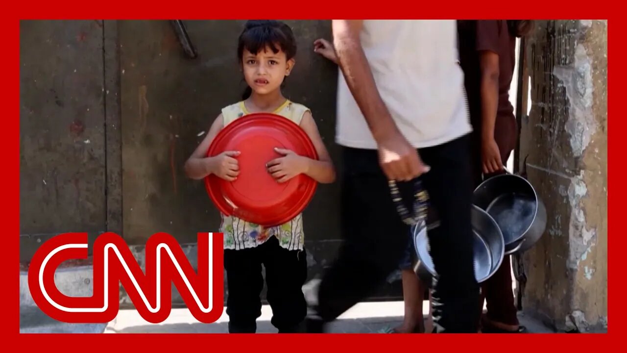 ‘There is simply not enough food’: Gaza aid group enrolling 25 new malnourished children daily