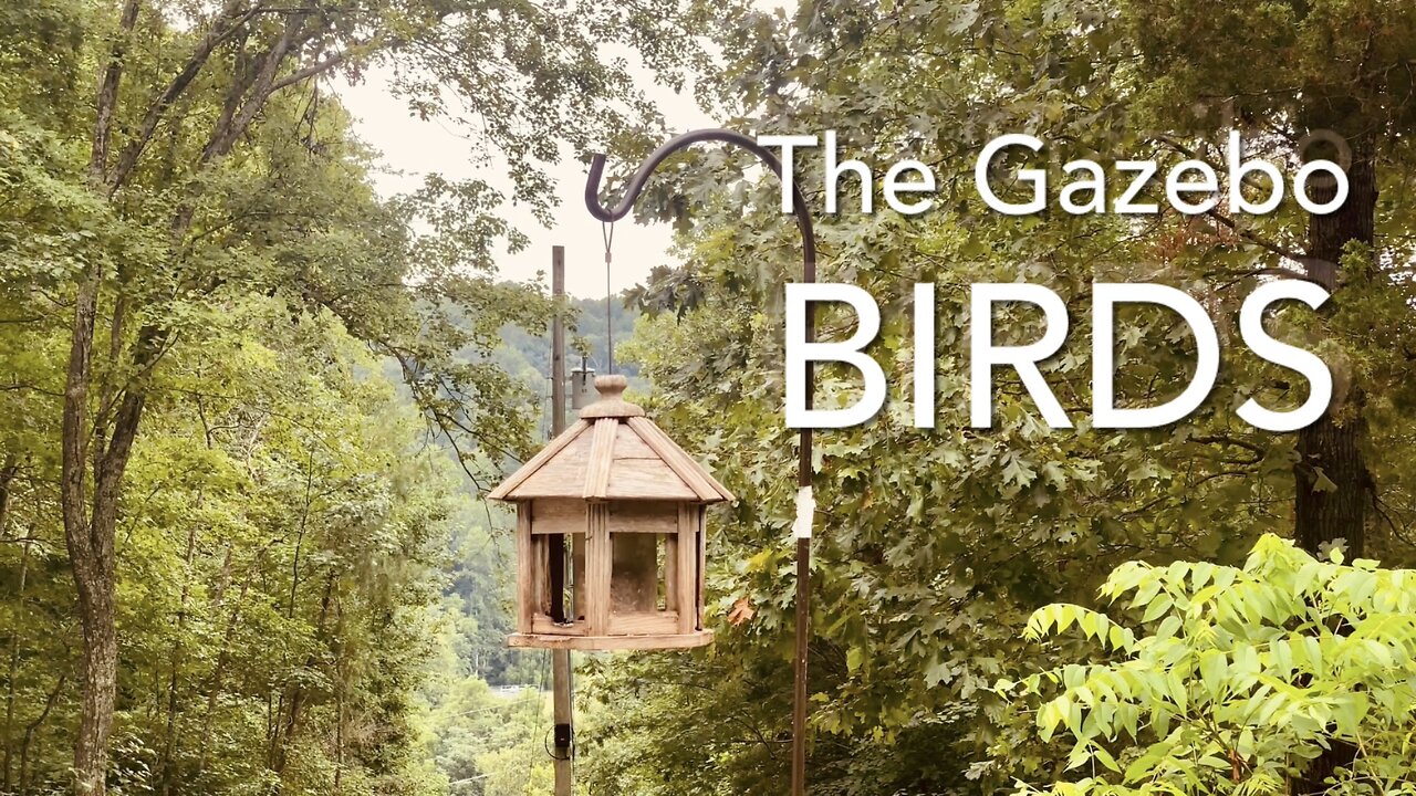 The Gazebo Birds