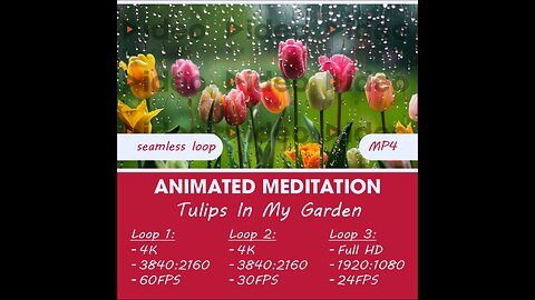 🌷Tulips In My Garden • Therapeutic Meditation Relaxation & Stress-Relief • Low Stim 4K Ambient Calm