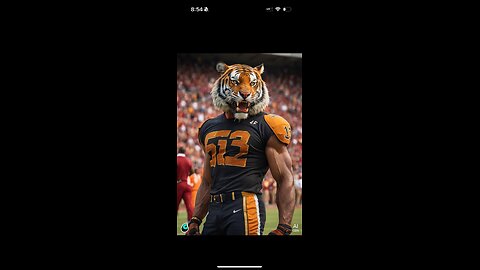 Belt Kings Fantasy FootBall League