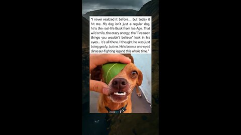 The Real Buck from Ice Age