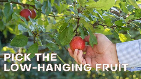 Sarasota Tim is "low hanging fruit"