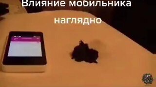 GRAPHENE REACTING TO EMF FIELD FROM A CELL PHONE - THIS IS WHAT'S IN THE (((COVID-SHOTS)))