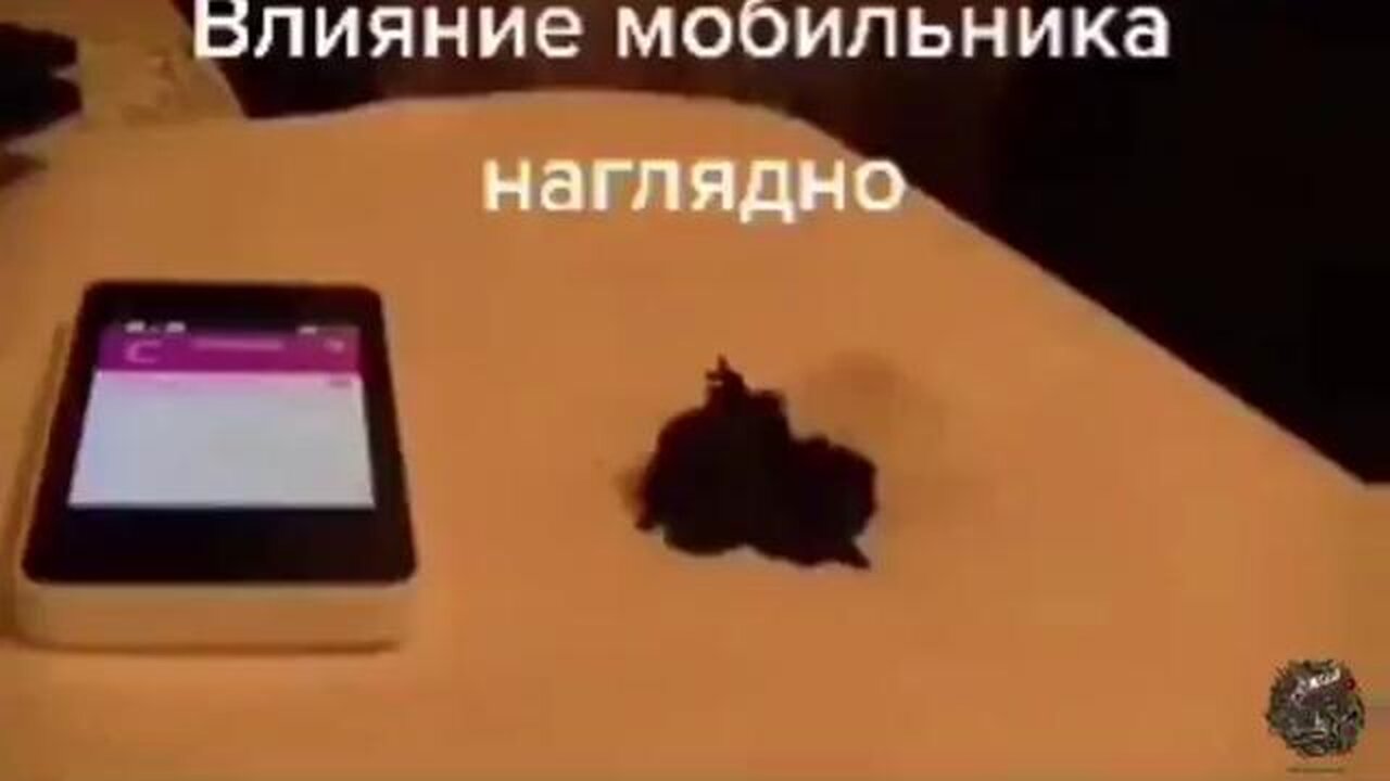 GRAPHENE REACTING TO EMF FIELD FROM A CELL PHONE - THIS IS WHAT'S IN THE (((COVID-SHOTS)))