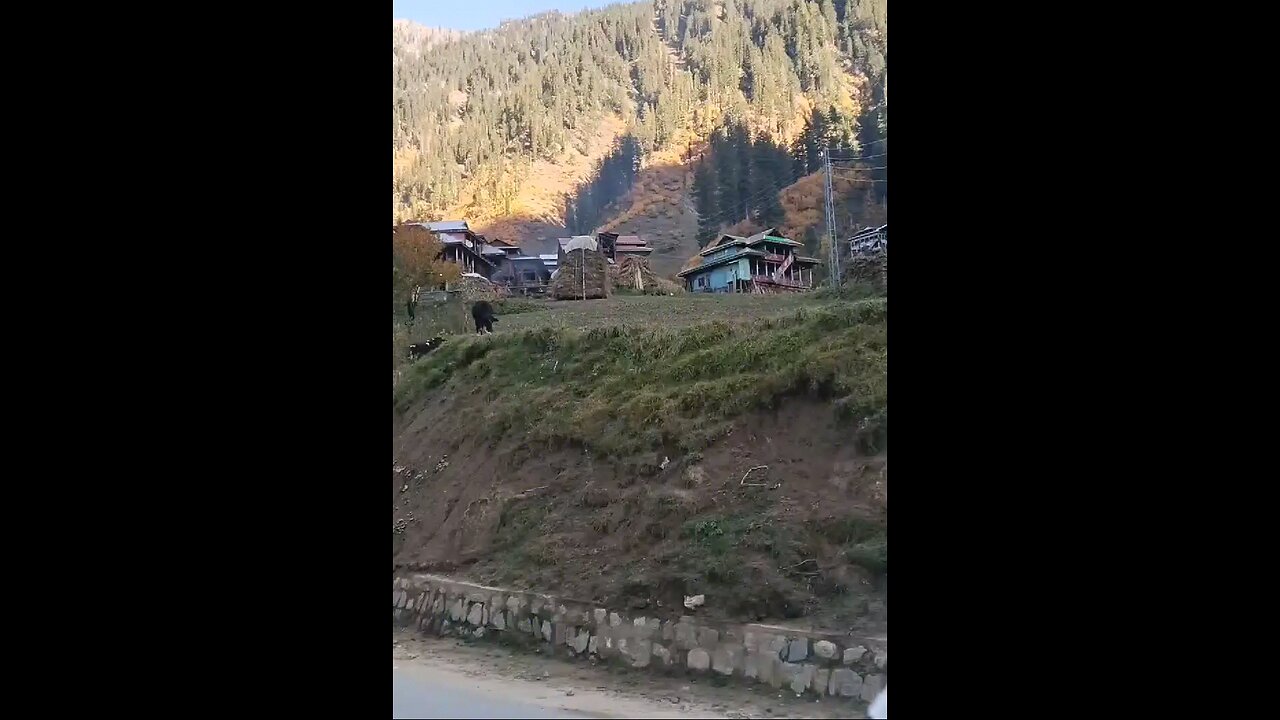 Kashmir