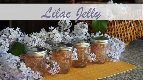 How to Make Lilac Jelly from Garden Flowers