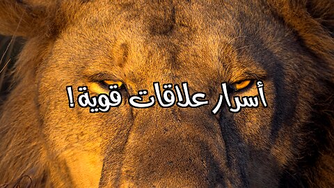 ٥ قوانين مُظلمة لـِ بناء علاقات قوية !