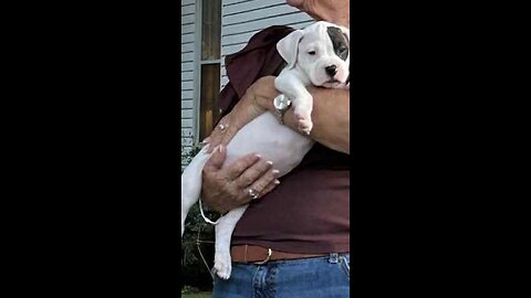 Azee's First Day Home