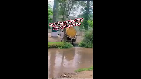 Hydration: you’re doing it very, very wrong. #fyp #foryoupage #fypシ #funny #funnyvideo #lol #wtf