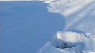 Making a Snow Angel_ The Perfect Snowy Morning Ritual! #snowangel #livingoffgrid #homesteading