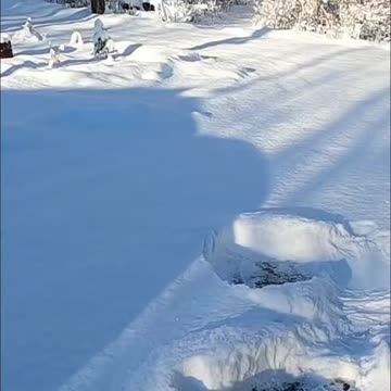 Making a Snow Angel_ The Perfect Snowy Morning Ritual! #snowangel #livingoffgrid #homesteading