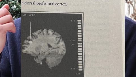how evolution has shaped peak motherhood and fatherhood (brain and hormones)