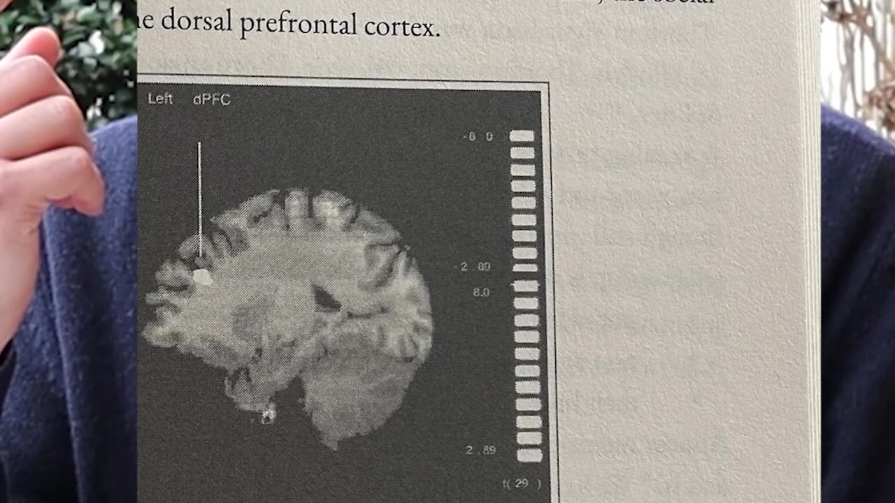 how evolution has shaped peak motherhood and fatherhood (brain and hormones)