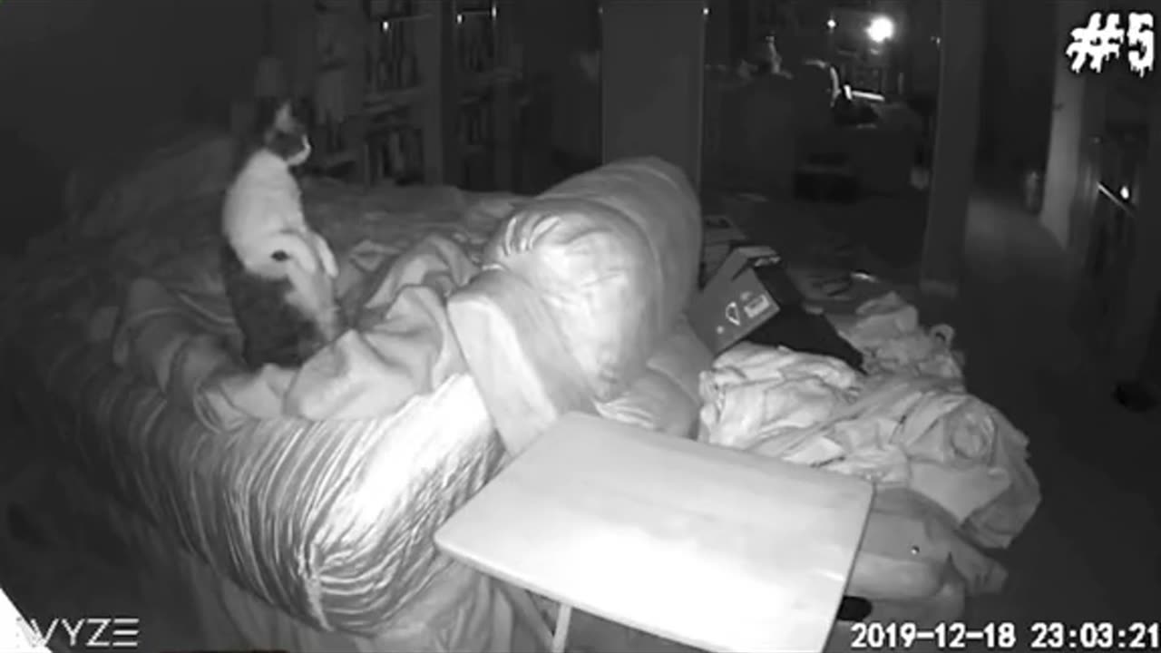 😨👁 Have a Good Look and Tell Me What You See! | TheHauntingHour