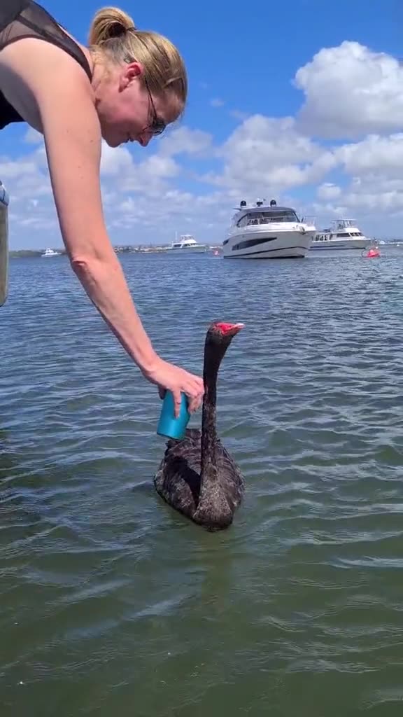 Welcome to Australia 🇦🇺 ( it’s water in the cup )