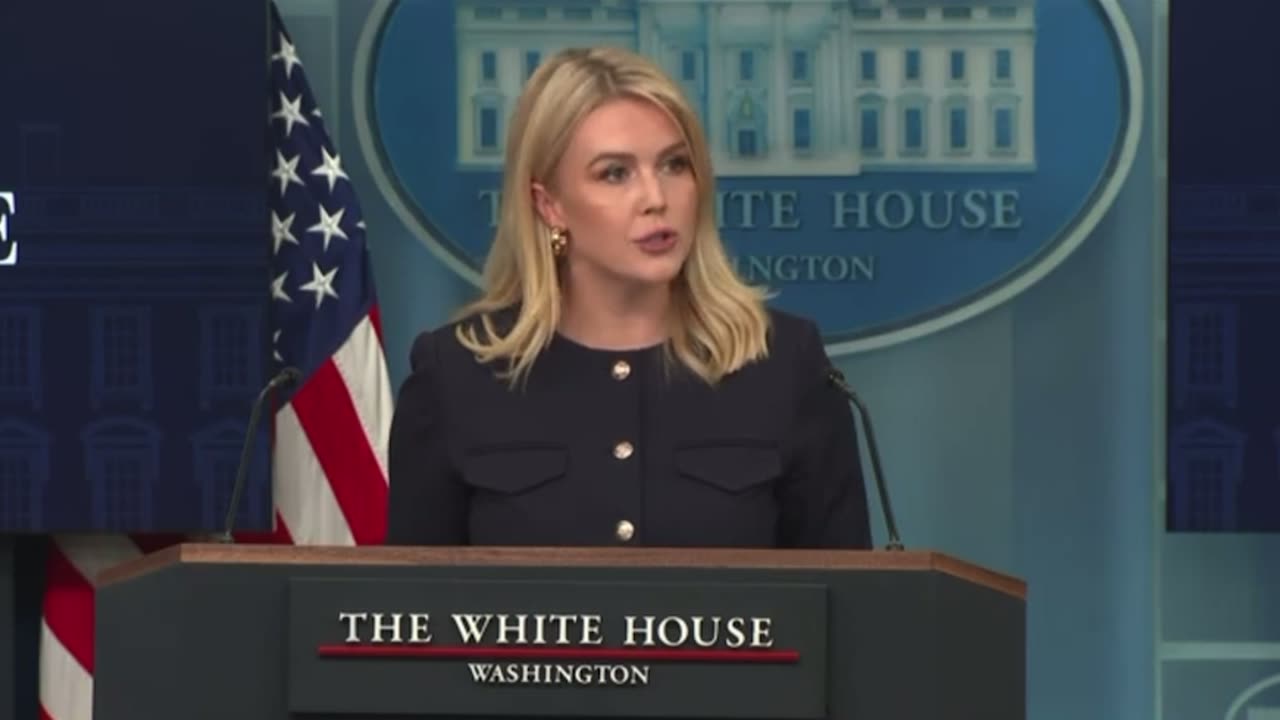 Karoline Leavitt slams rogue district court judges for blocking deportations