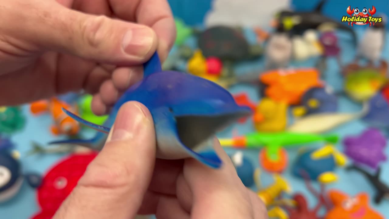 Neatly Arrange the Water Animal Toys Scattered on the Floor