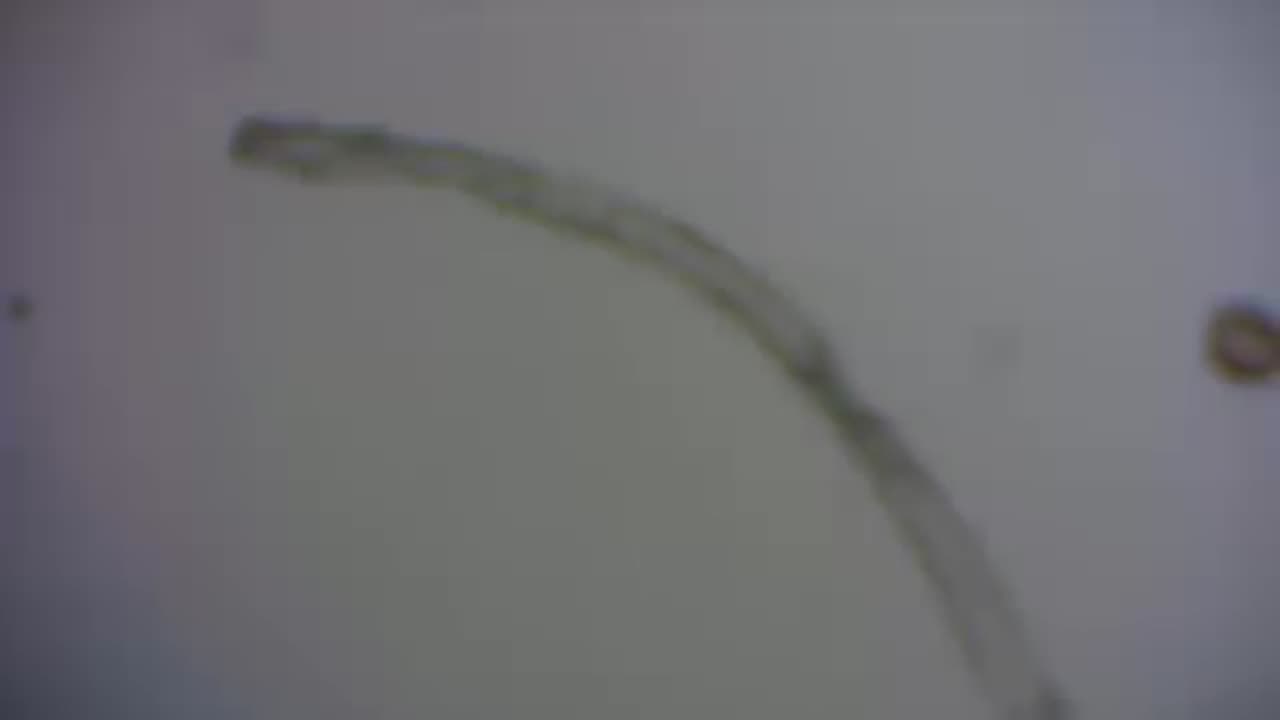 my my hey hey, something nefarious in our/Liverpool rain/Rob Deutsch