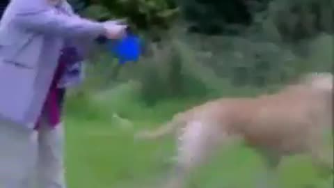 Funny Grandma Flying Through the Air Bye Bye Grandma