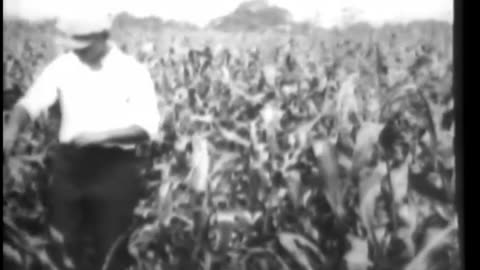 CORN BORER AND WHAT TO DO ABOUT IT, ... - CORN BORER AND WHAT TO DO ABOUT IT, THE Reel 1 - 33-296-r1