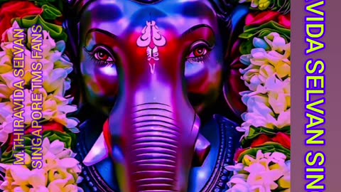 தொடங்குற காரியத்தை முடித்து வைப்பார் விநாயகர் TMS LEGEND M.THIRAVIDA SELVAN SINGAPORE TMS FANS 2025