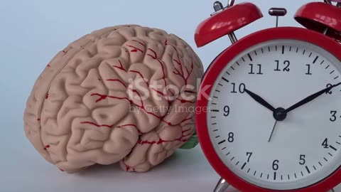 Neuro Fortis Pro Reviews: Real Results from Real People
