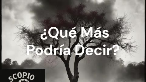Qué Más Podría Decir