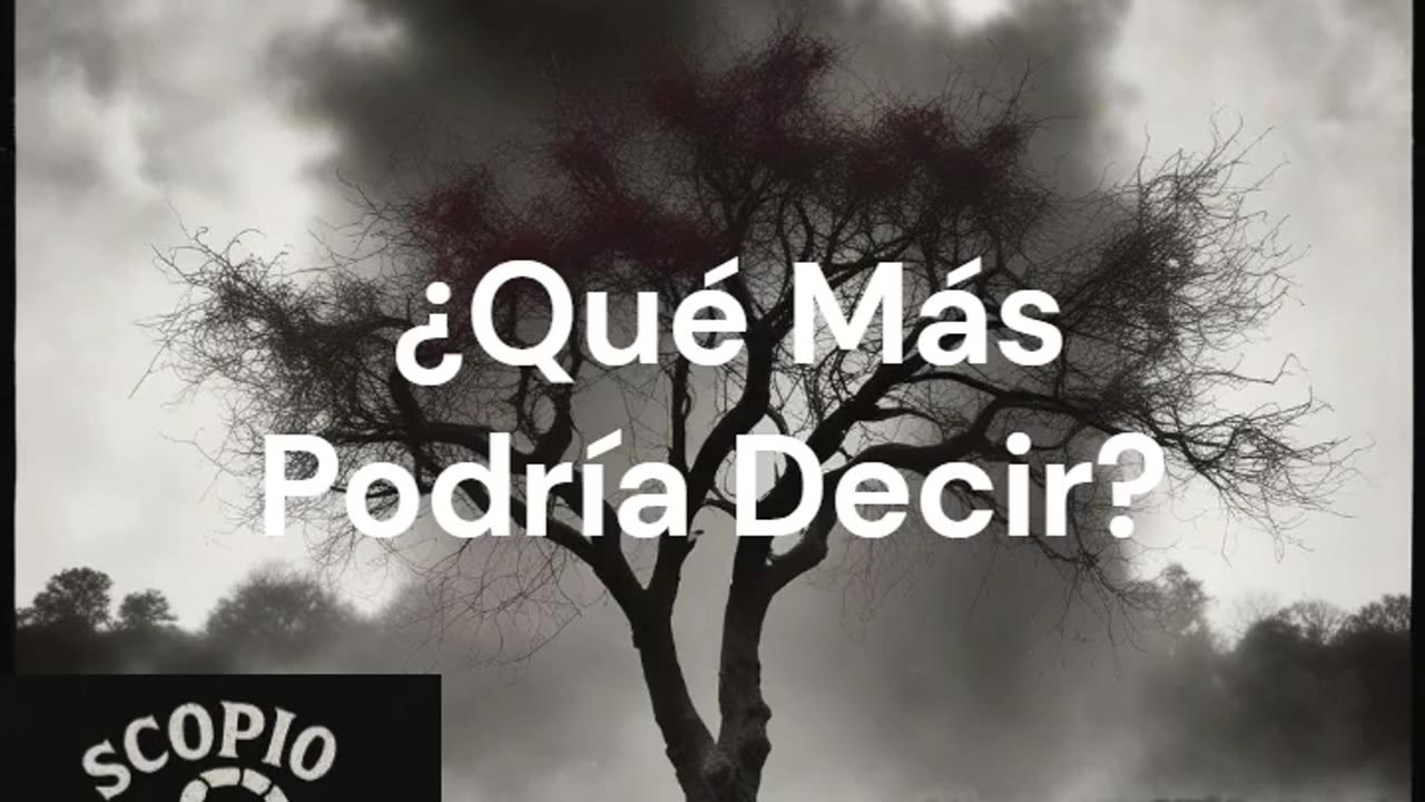 Qué Más Podría Decir