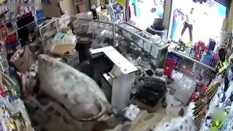 Wild Animals Invading Cities Caught on Camera